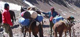 aconcagua expedition argentina