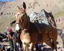 country argentina mountain aconcagua